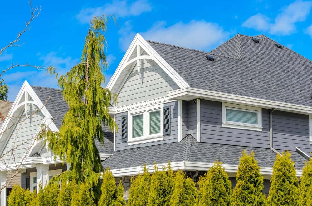 A gray house with a gabled roof and white trim is partially visible. It features large windows and decorative woodwork. In front, there are tall green shrubs and a coniferous tree. The sky above is clear and bright blue.